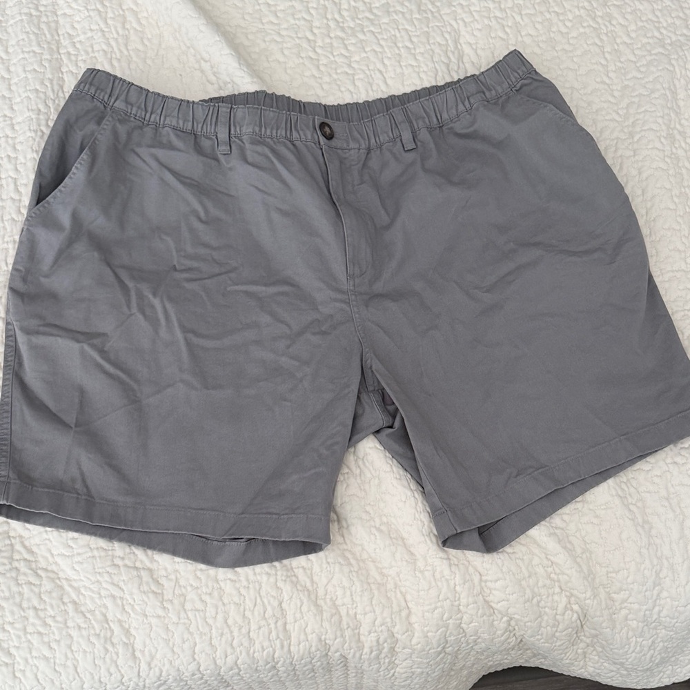Chubbies Men's Gray Flat Front Shorts